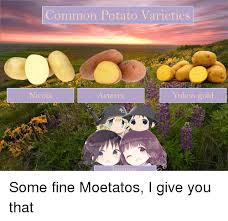 All anime manga characters people manga store news featured articles forum clubs users. Common Potato Varieties Nicola Sterix Yukon Gold Anime Meme On Me Me