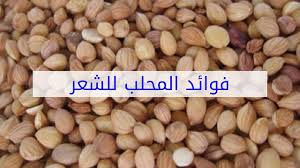 فوائد المحلب للشعر Youtube