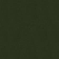 Image result for Mica Green 1999 Tiburon