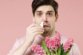 Climatizzatori con ionizzatore per purificare l'aria — Ariel Energia