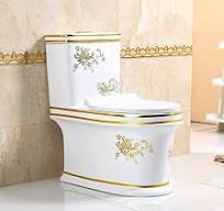 Amazon.com: Mute Toilet,Dual Flush Toilet Gold Plating Print ...