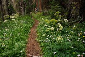 Mile high mayhem and oktoberfest. Best Hikes With Kids In Northern Colorado Bring The Kids