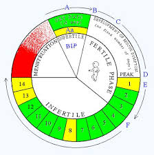 natural family planning nfp circle chart easy and no