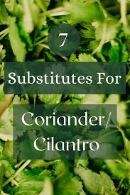 The seeds of the cilantro plant, for example, (also known as coriander) are a major ingredient in a variety of indian dishes. Substitutes For The Soapy Taste Of Coriander Homegrown Herb Garden