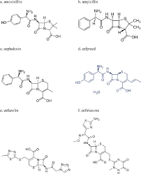 Chemical Structure Similarities And Differences Among Select