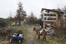 Daté du vendredi 9 avril. Appel A Rassemblement Sur La Zad De Nddl Action Non Violente Cop21