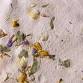 Homemade Seed and Dried Flowers Paper