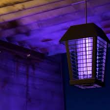 bug zapper light All products are discounted, Cheaper Than Retail Price,  Free Delivery & Returns OFF 76%