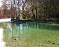 Masks, fins, and snorkels can be rented at the ginnie springs store. Cabin Rental High Springs Florida Glamping Hub