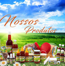 Ouro brasil feira de santana. Apiario Favo De Ouro Home Facebook
