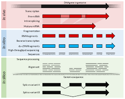 Mar 29, 2021 · a group of stanford researchers has hacked moderna's messenger rna (mrna) vaccine for the novel coronavirus, motherboard first reported on monday, and published its entire genetic sequence on. Rna Seq Wikipedia