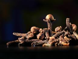 Check spelling or type a new query. Les Produits Qui Fonctionnent Contre Les Punaises De Lit Punaises Expert