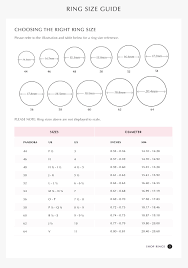 51 Curious Dior Shoe Size Chart