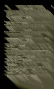 Image result for Vincetoxicum apiculatum