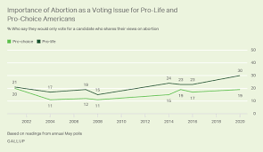 Motivation is a challenging part of personal and professional development. One In Four Americans Consider Abortion A Key Voting Issue