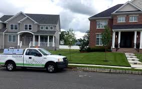 We offer seasonal and immediate assistance in combating pests including: Home Pest Control Nj Bugaboo