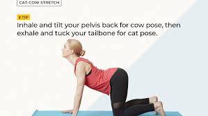 Yoga training for healthy pregnancy. How To Do Cat Cow Stretch Chakravakasana