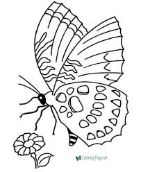 Printable Coloring Pages For Kids Butterfly Coloring Page Coloring Book Album Coloring Pictures