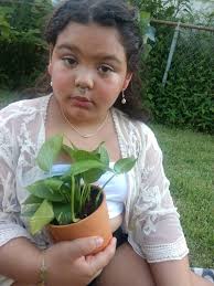 Keshi Pearl and Silver Earrings