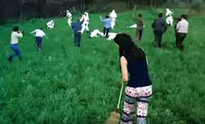 Image result for the crazies