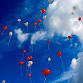 Suicide Bereavement Support Morning for people who event image