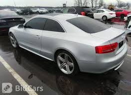 Image result for Ice Silver 2010 S5