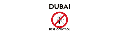 We have partnered with dubai's best companies to get you the service you deserve. The 6 Best Options For Pest Control Services In Dubai To Handle Any Situation 2021