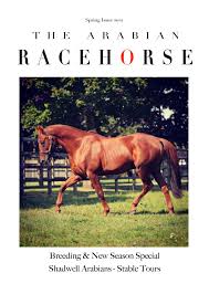 The 14 best beach chairs in 2021. The Arabian Racehorse Spring 2021 By The Arabian Racehorse Issuu