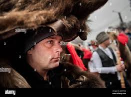 Comanesti bear festival hi-res stock photography and images