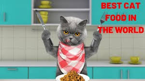 A cat owner might just need one of the best automatic cat feeders or a timed cat food feeder (for even more convenience), drop the dry cat food in, and your cat and access the food any time they want to. Best Cat Food In The World Consumer Reports Best Cat Food Youtube