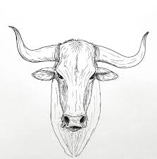 Check spelling or type a new query. Coloring Pages Tsln Com