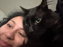 Lost Cat in Hunterdon County, Tips and Advice for Finding a Lost Pet