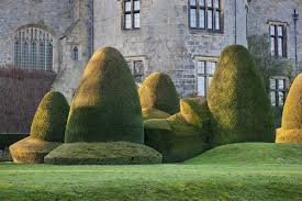 Welsh Hats In Clipped Yew At Chirk Castle Wrexham Norah Lindsay Garden Designer C National Trust Images Andrew B Beautiful Gardens Famous Gardens Topiary