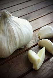 Knoblauch Gegen Blattlause Hausmittel Aus Der Natur Hausmittel Gegen Blattlause Hausmittel Und Unkraut Im Garten