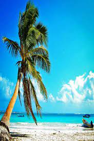 Playa Paraiso Mexico Tourism Beaches In The World Best Places To Travel