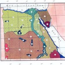 Image result for Corallocarpus schimperi