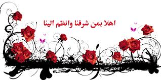 ���� ��������� ������� Designer �����