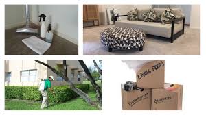 Quality carpet cleaning & pest control for ipswich, springfield, toowoomba and brisbane. Carpet Cleaning Ipswich Suburbs River City Carpet Cleaning