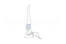 Pin On Spotebi Yoga