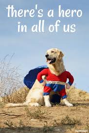 Super Hero Dog There S A Hero In All Of Us Golden Woofs Golden Retriever Halloween Golden Retriever Halloween Costume Dog Halloween Costumes