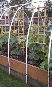 How to build a hoophouse for a raised bed garden super quick hoop protection for raised beds. Love The Height Of This Bed The Tall Hoops And How The Trellises Are Secured To The Arches Lots Of Good I Raised Vegetable Gardens Raised Garden Raised Beds