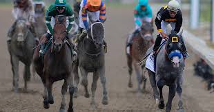 Meet the Preakness Stakes horses who ran in the 2026 race