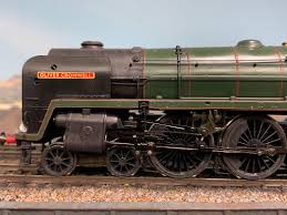 Image result for Grewia hornbyi