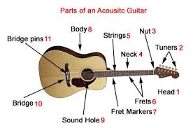 For pdf, see the chord chart ebook with over 500 chord diagrams. Parts Of An Acoustic Guitar