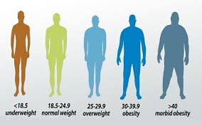 Bmi Calculator Check Your Body Mass Index Concise Mag