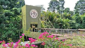 143 reviews #1 of 2 things to do in semanggol. Apa Ada Di Pulau Orang Utan Tasik Bukit Merah