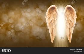 2560x1600 detroit red wings wallpaper. Golden Angel Wings On Image Photo Free Trial Bigstock