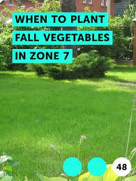 Enjoy a delicious harvest of homegrown sage by following these tips for harvest and use. Learn When To Plant Fall Vegetables In Zone 7 How To Guides Tips And Tricks Fall Vegetables To Plant Fall Vegetables Fall Garden Planting
