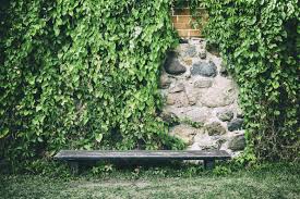 Red leaves of a hop plant vine over a weathered wooden wall. 28 Luscious Backyard Vine Ideas Home Stratosphere