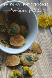 Honey Battered Dandelion Fritters Recipe Foraging Recipes Dandelion Recipes Recipes
